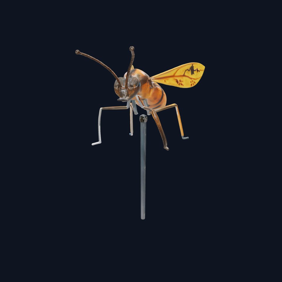 Stylized Insect Model Pack for D Animations